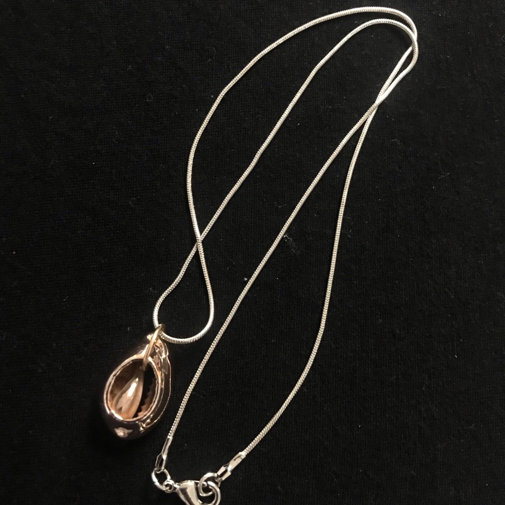 Shell Necklace - Picture 2 of 3